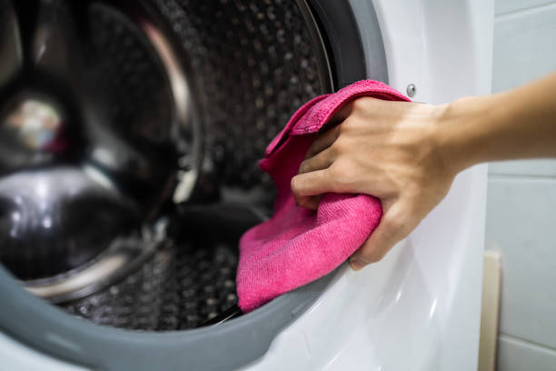 Mold Odor Removal Services in Hillandale, MD