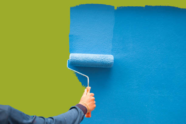 Best Basement Mold Removal  in Hillandale, MD