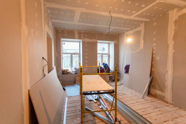 Best Mold Odor Removal Services  in Hillandale, MD